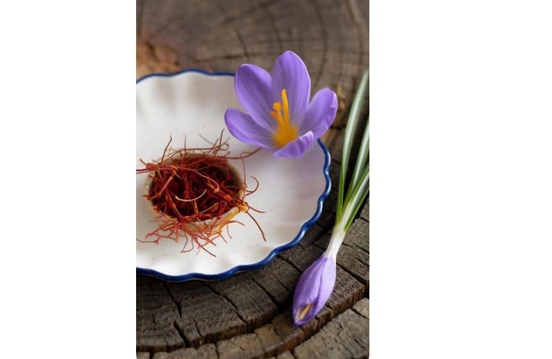 Secrets gourmands autour du safran oublié